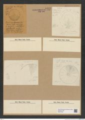 Diatomeae indet. Zeichnungen Sammlung Grunow Nr. 8459 (NHMW-BOT-W0377918)